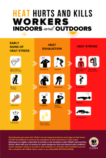 Infographic showing the signs of heat stress, heat exhaustion, and heat stroke.