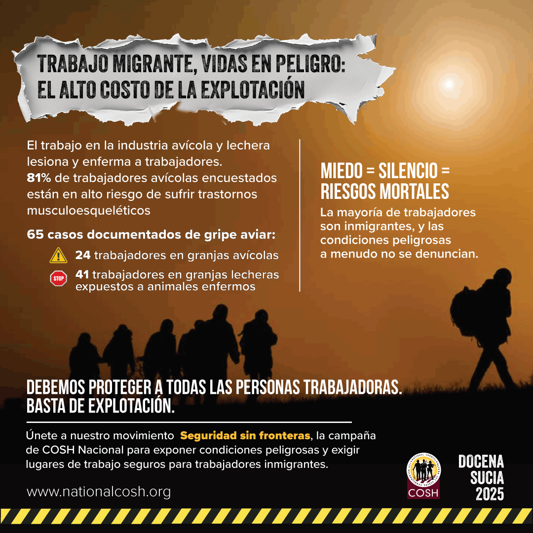 Reportes La Docena Sucia | Consejo Nacional de Salud y Seguridad ...