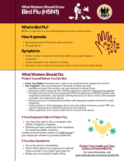 Bird Flue Factsheet