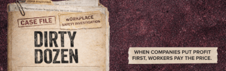 Banner DD25