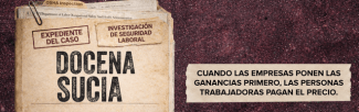 Banner DS25
