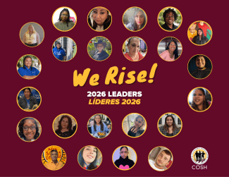 Updated WeRise 2026
