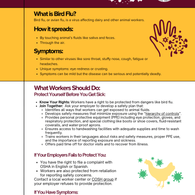 Bird Flue Factsheet