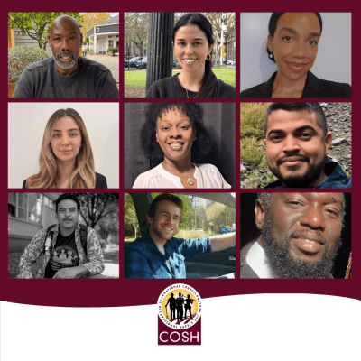 Board 2026